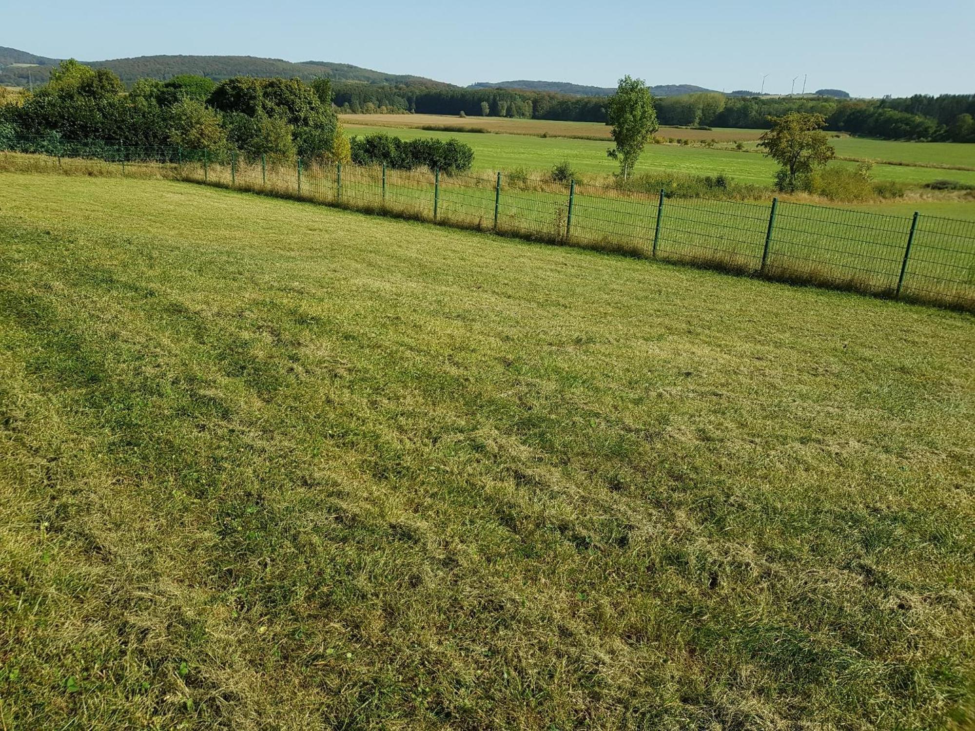 Wolfshuette Villa Hillesheim  Eksteriør billede